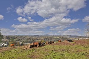 Photo 32- click for photo gallery